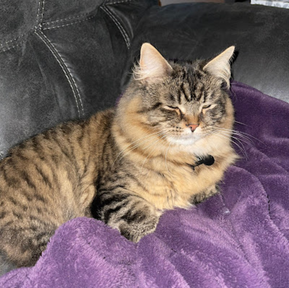 Meet your Posher, Breanna